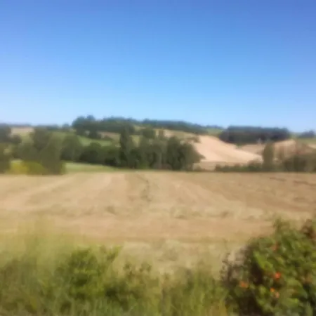 Du Grand Tilleul De La Forge * Cazes-Mondenard